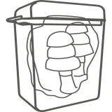 Беруши многоразовые CONICFIR050 со шнурком SNR 34дБ DeltaPlus CONICFIR050OR - фото 2